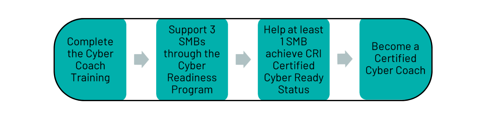Cyber Coach Process